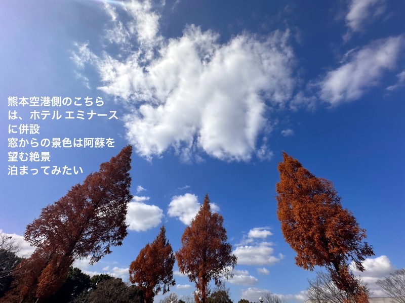 ワニ子さんのエミナース温泉 七福の湯 (阿蘇熊本空港ホテル エミナース)のサ活写真