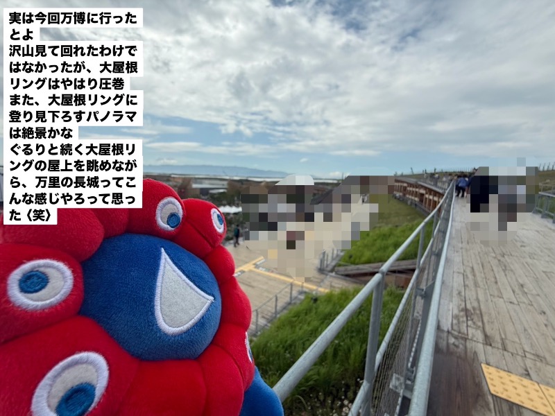 ワニ子さんのCOCOFURO おおみね湯のサ活写真