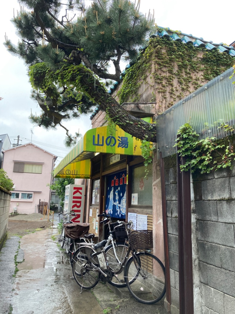 いぬはりこさんの山の湯のサ活写真