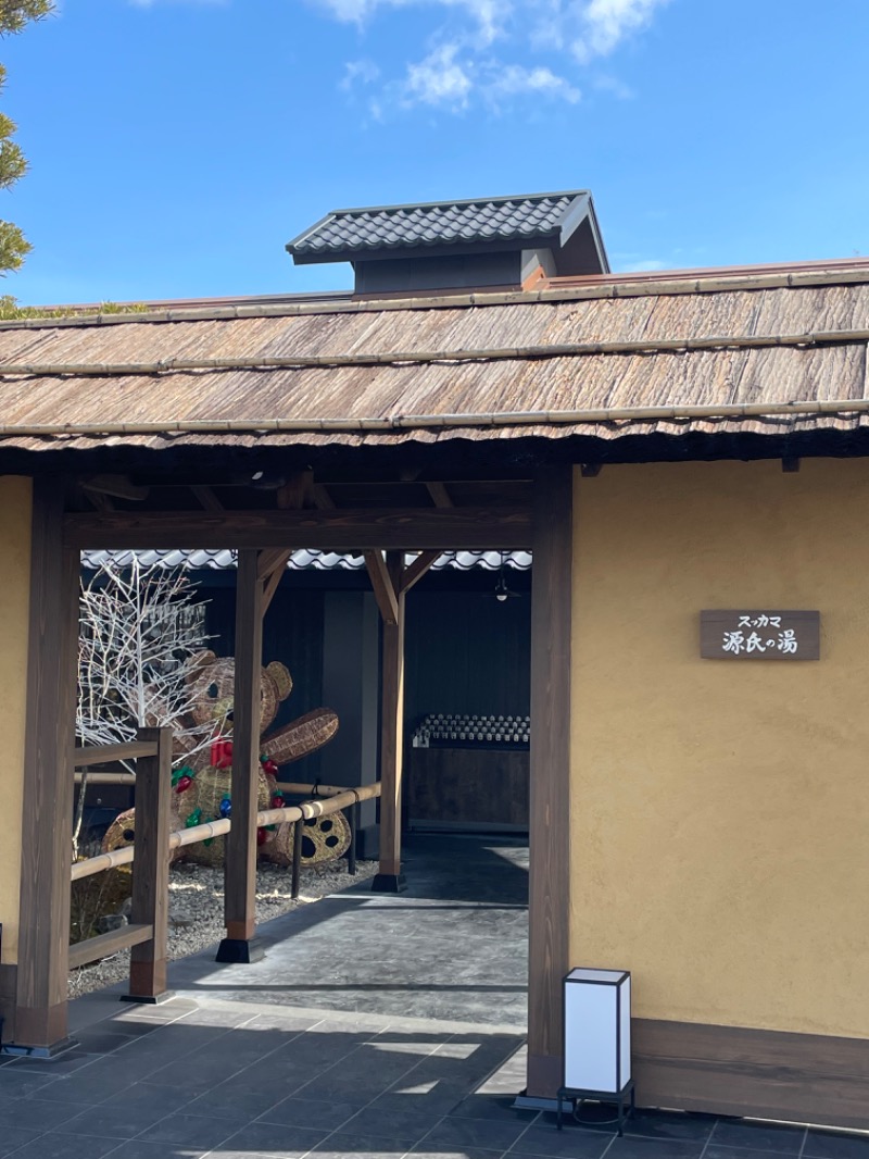 とらとらさんのスッカマ 源氏の湯のサ活写真