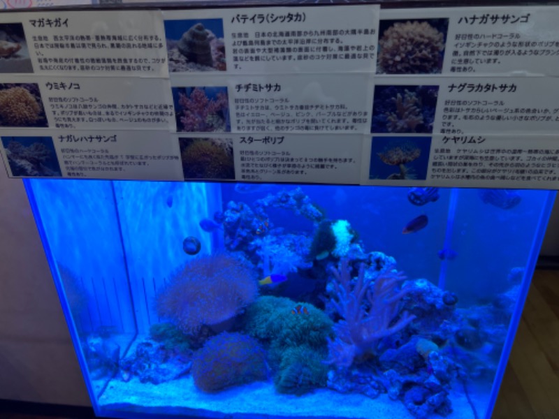 たかしさんの矢向湯のサ活写真