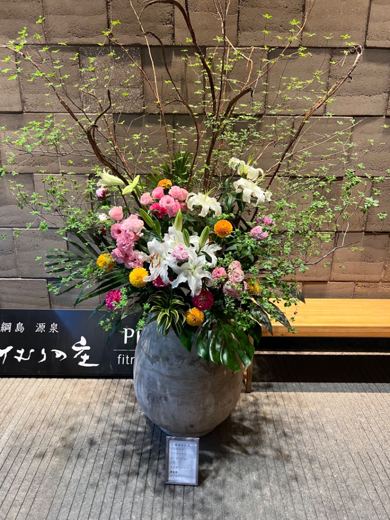 たかしさんの綱島源泉 湯けむりの庄のサ活写真