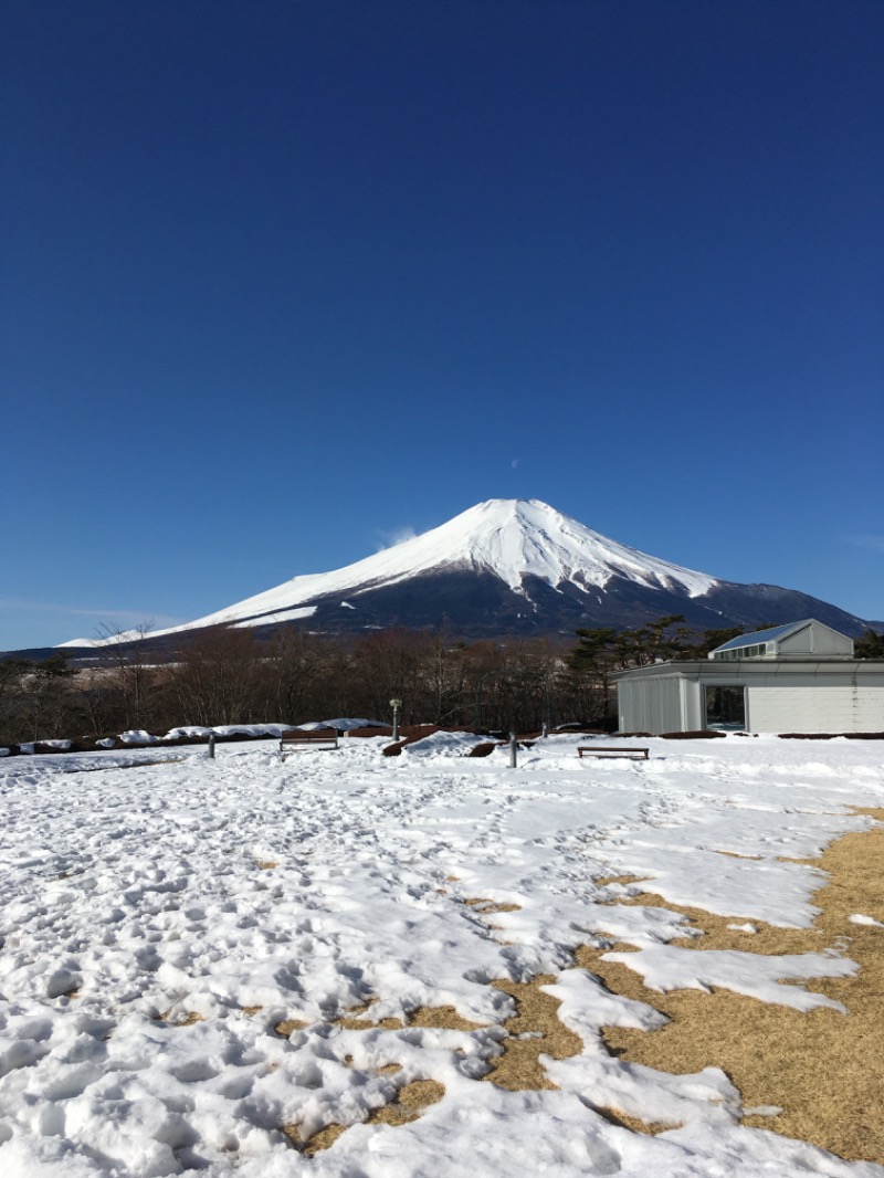 虫親父さんのホテルマウント富士のサ活写真