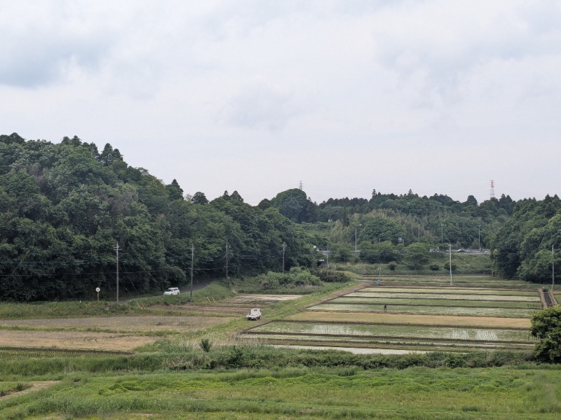 みそかつさん②さんの酒々井温泉 湯楽の里のサ活写真