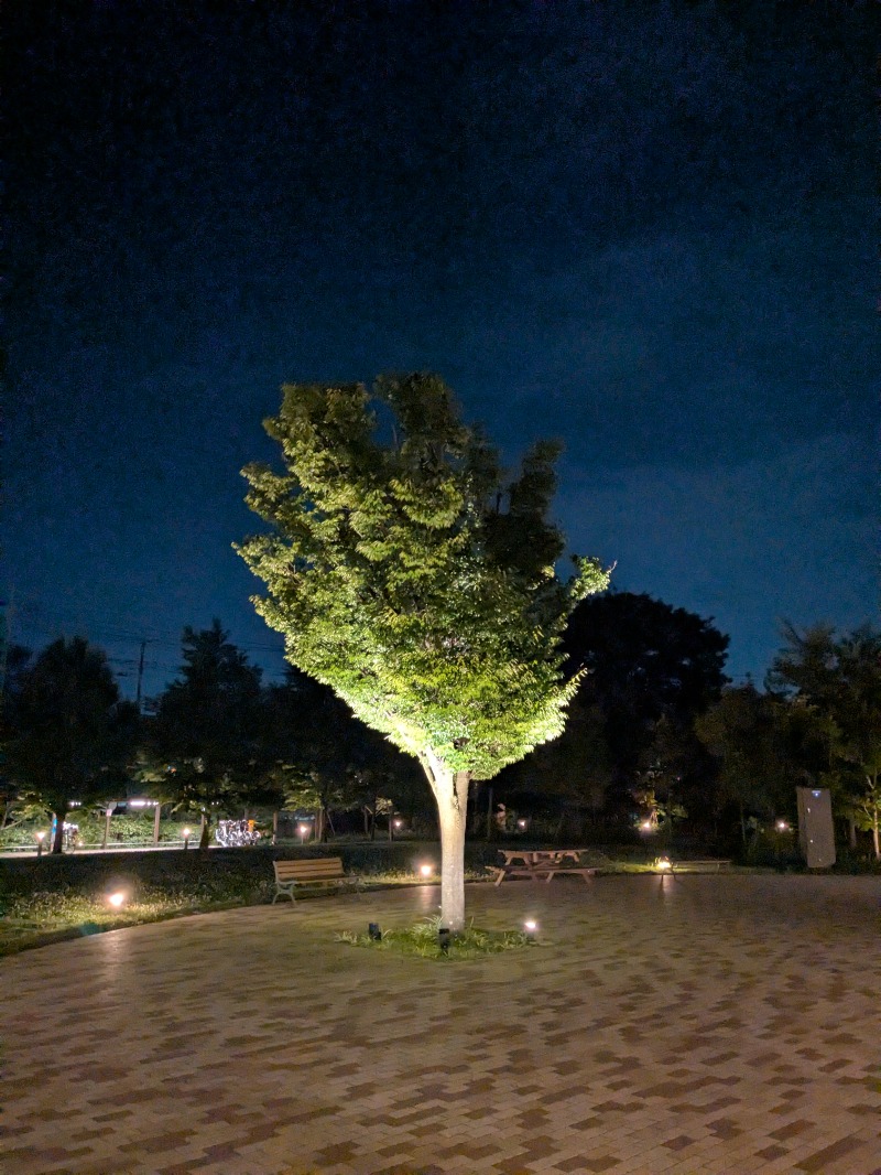 みそかつさん②さんのふなばしメグスパのサ活写真