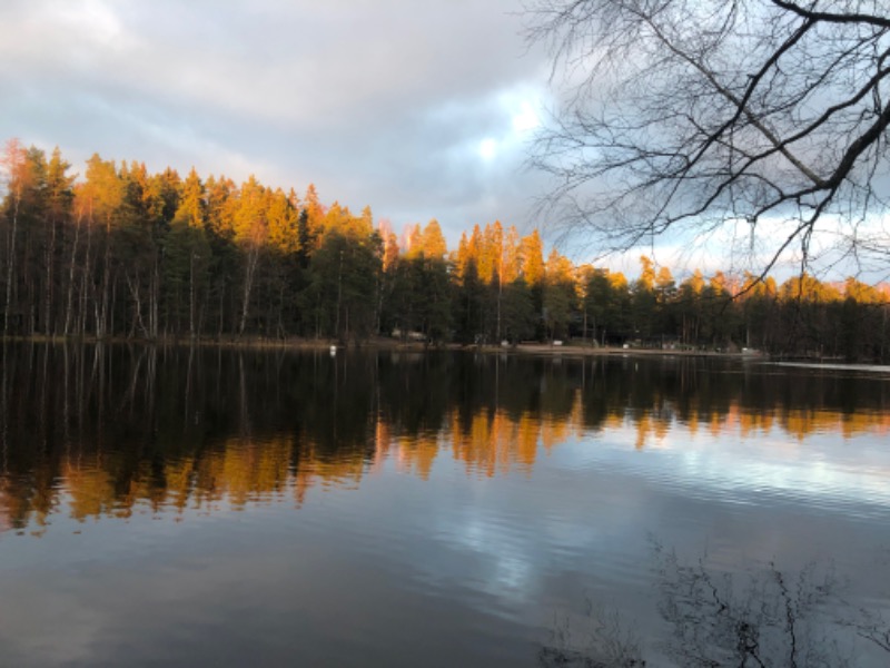 ととのってるーもにーさんのCafe Kuusijärviのサ活写真