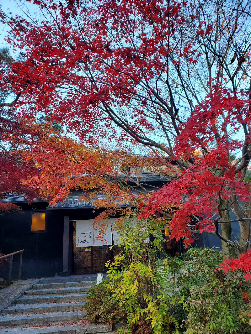 akiさんの上方温泉一休京都本館のサ活写真