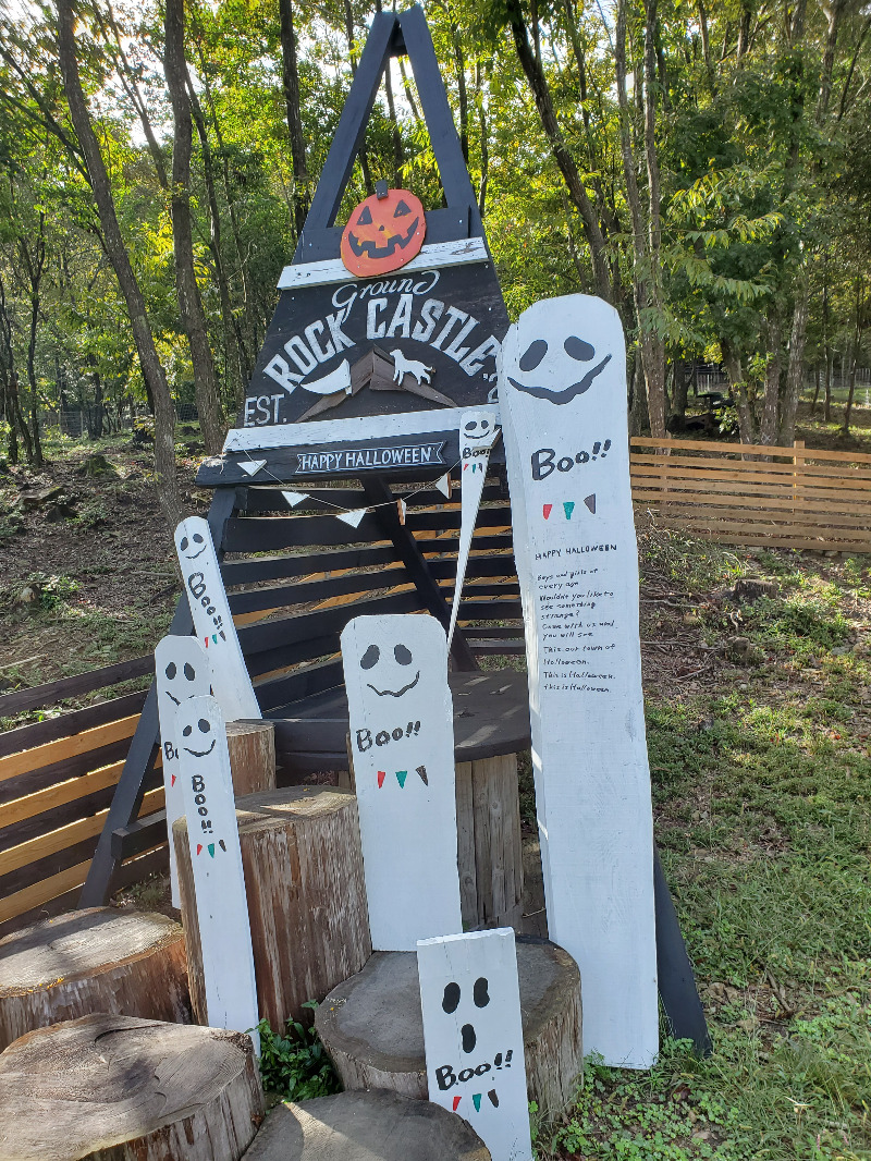 akiさんのGROUND ROCK CASTLE saunaのサ活写真