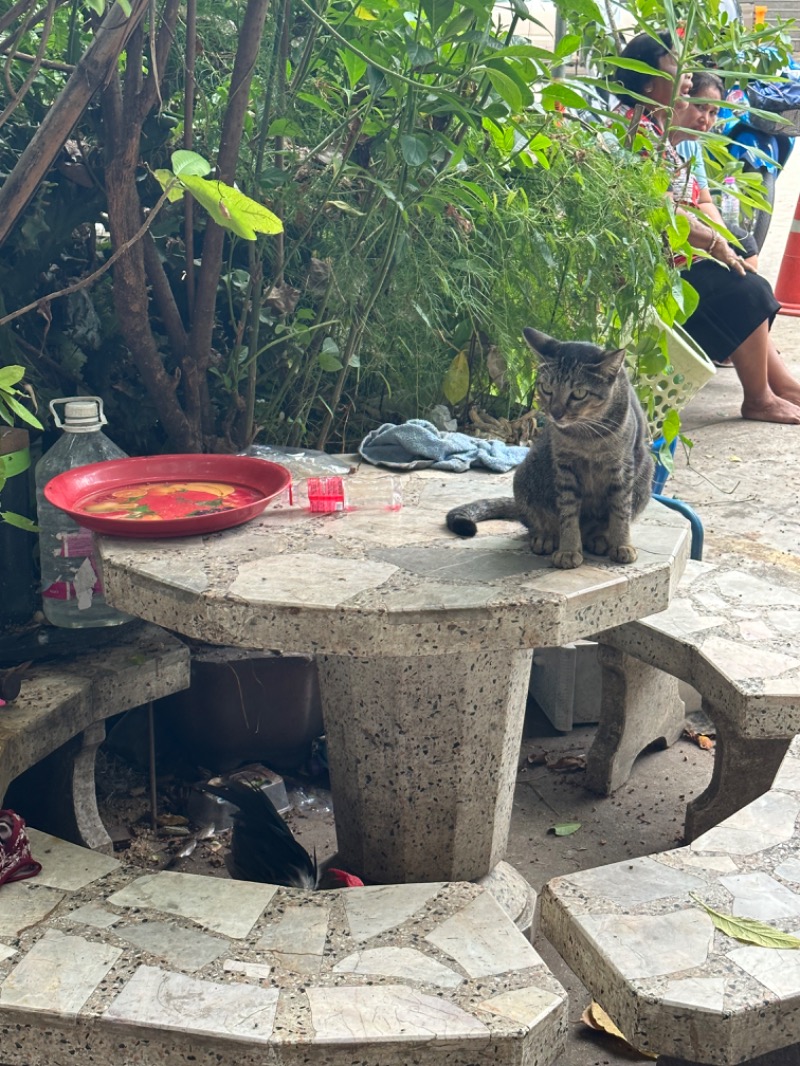 aiさんのワット カチョンシリ(Wat Khachonsiri)のサ活写真