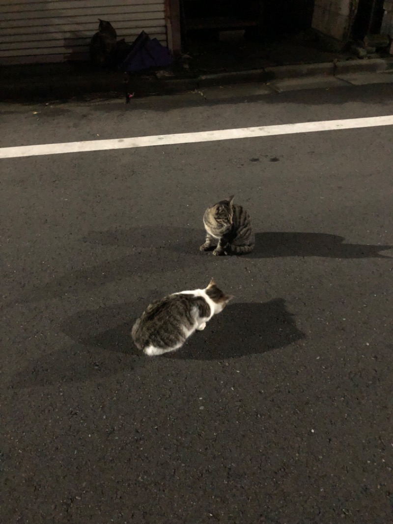 アッキーさんの小松湯のサ活写真
