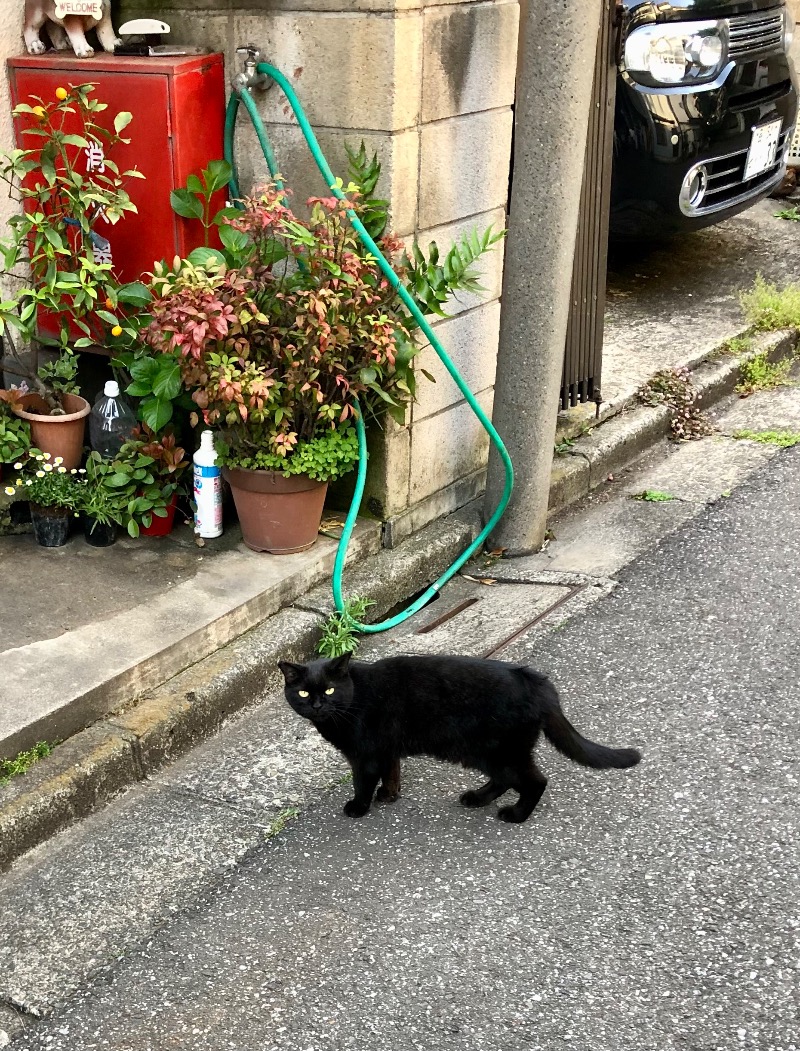 アッキーさんの大森湯のサ活写真