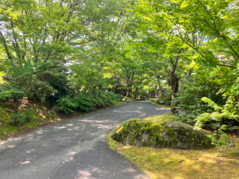 ととのったっき〜さんの八面山金色温泉のサ活写真