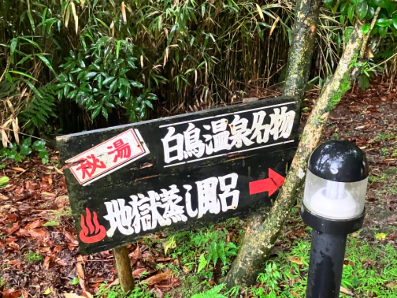 ととのったっき〜さんの白鳥温泉上湯のサ活写真