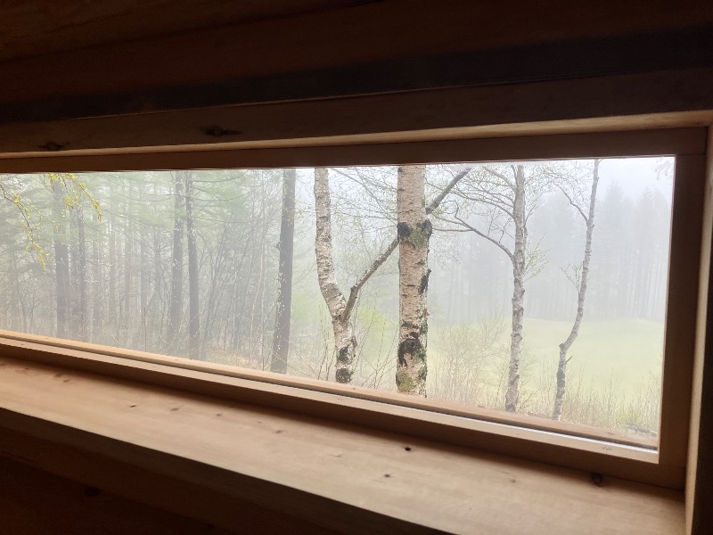 ととのったっき〜さんのSAUNA TEN            "Birch and cloud forest"のサ活写真