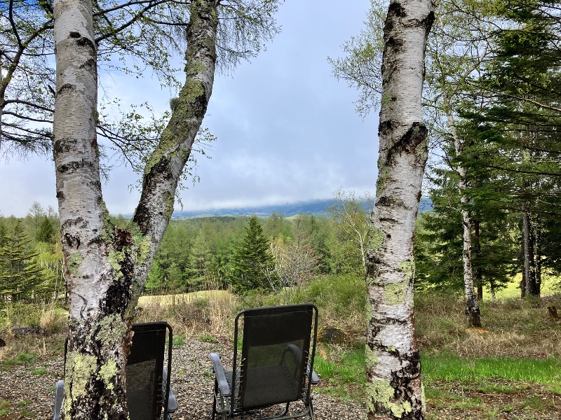 ととのったっき〜さんのSAUNA TEN            "Birch and cloud forest"のサ活写真