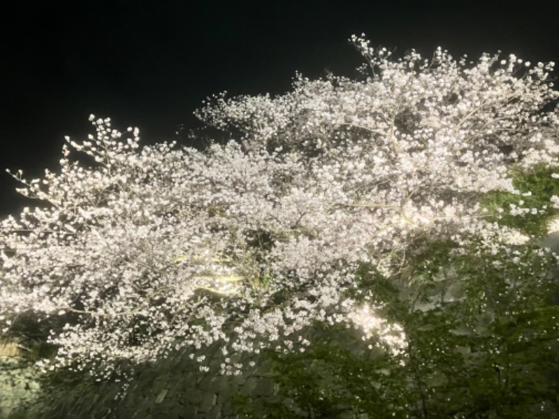 ととのったっき〜さんのSHIAGARU SAUNA 福岡 天神のサ活写真