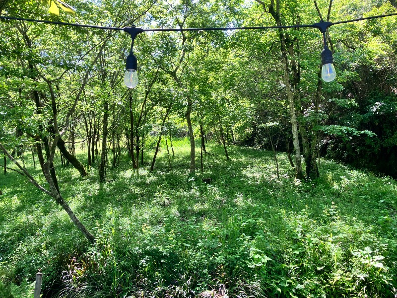 ととのったっき〜さんのThe earth saunaのサ活写真