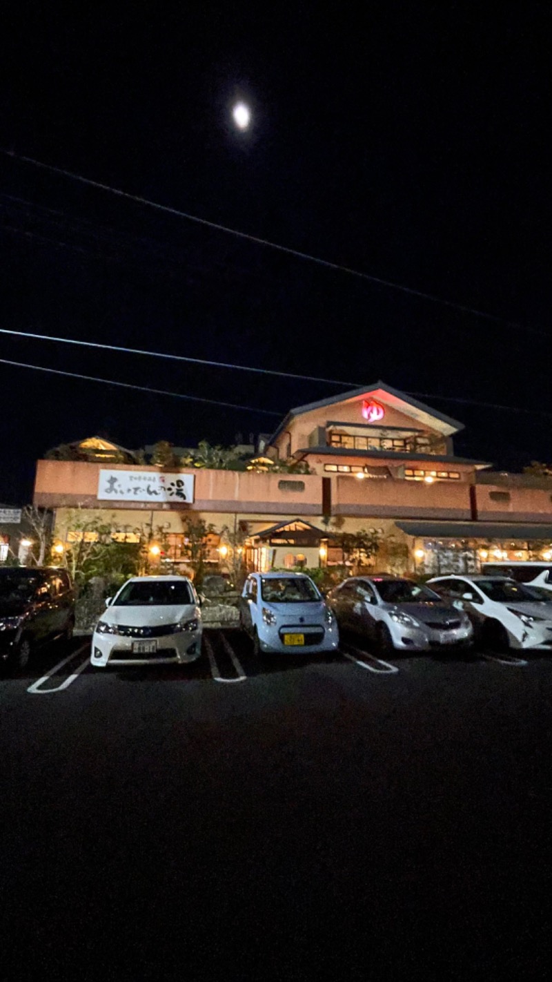 とちぎさんの豊田挙母温泉 おいでんの湯のサ活写真