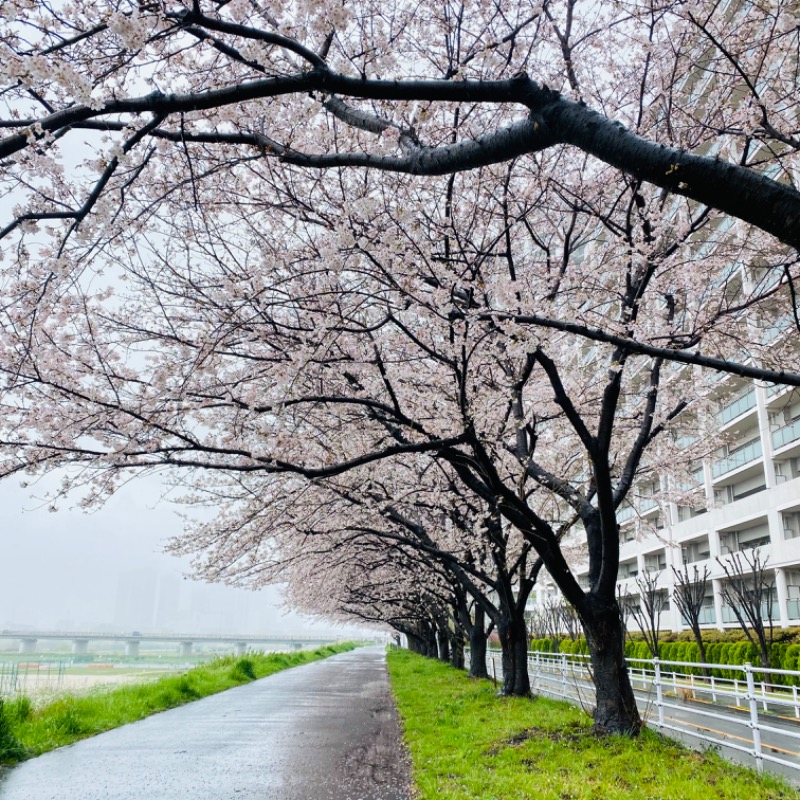 げんちゃん。さんの今井湯のサ活写真