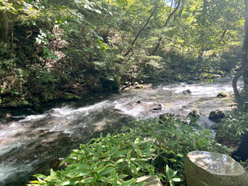 ぷかぷくさんの星野温泉 トンボの湯のサ活写真