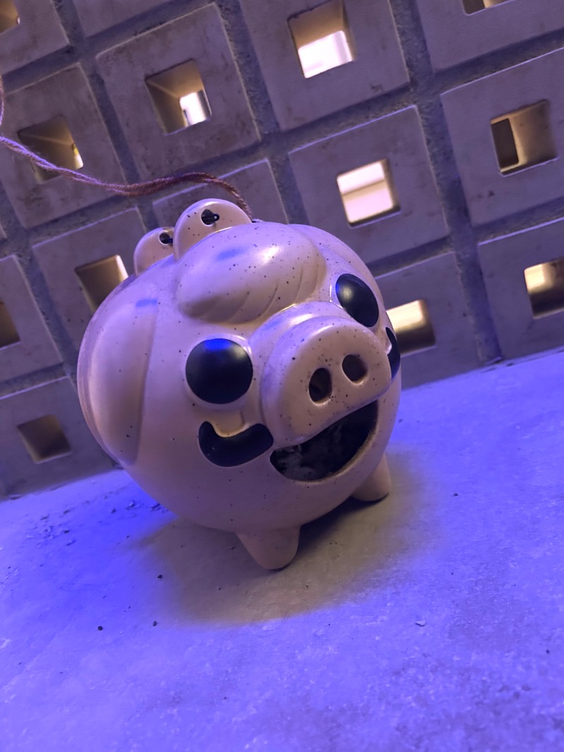 ぷかぷくさんの改良湯のサ活写真