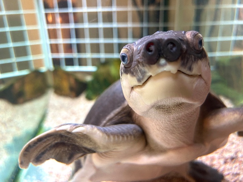 ぷかぷくさんの松本湯のサ活写真