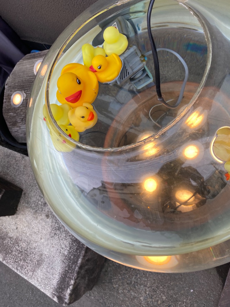 こせこしぱぱさんの第二宝湯のサ活写真