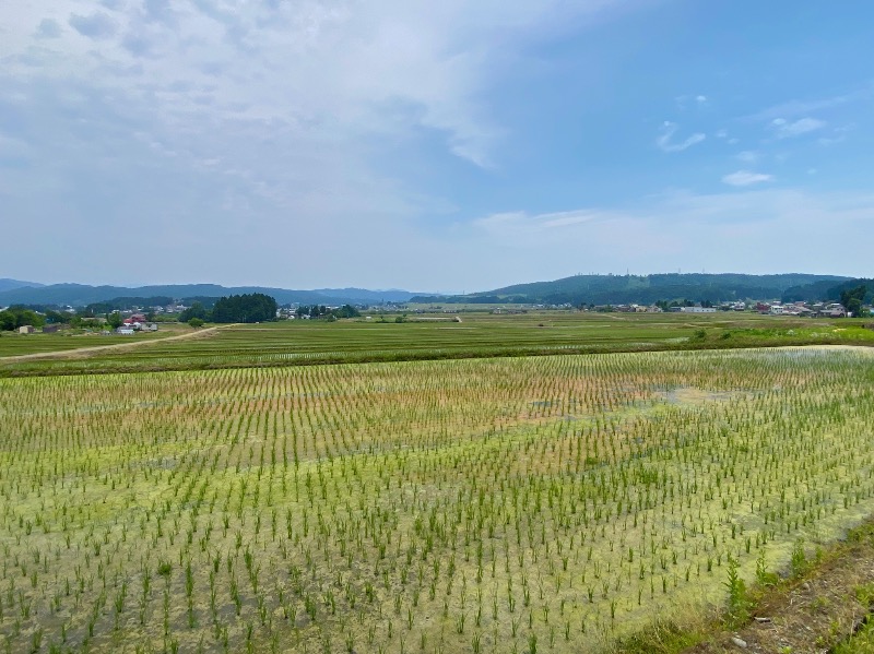 こせこしぱぱさんのOJIYA SAUNA DENのサ活写真