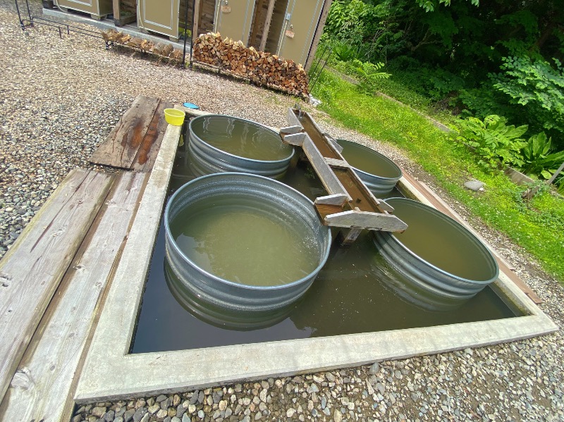 こせこしぱぱさんのOJIYA SAUNA DENのサ活写真