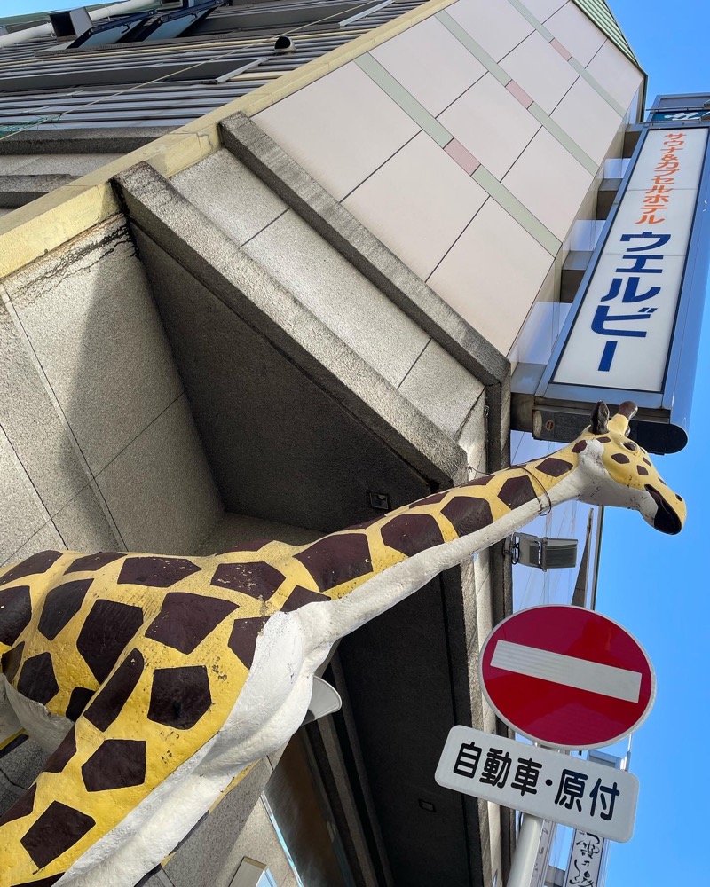 あまみサウナさんのウェルビー今池のサ活写真