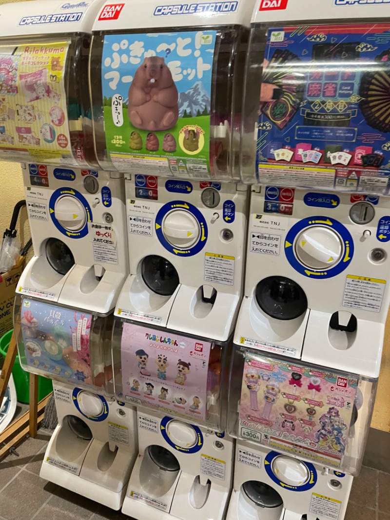 カピ野郎ｽﾚﾝﾀﾞｰ美脚WEB予約人気⭐️⭐️さんの湯屋サーモンのサ活写真