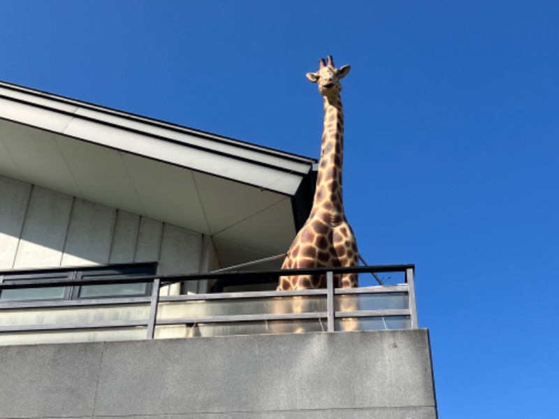 トパさんの極楽湯尼崎店のサ活写真