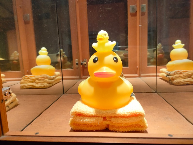 みやびんさんの野天風呂 あかねの湯 姫路南店のサ活写真