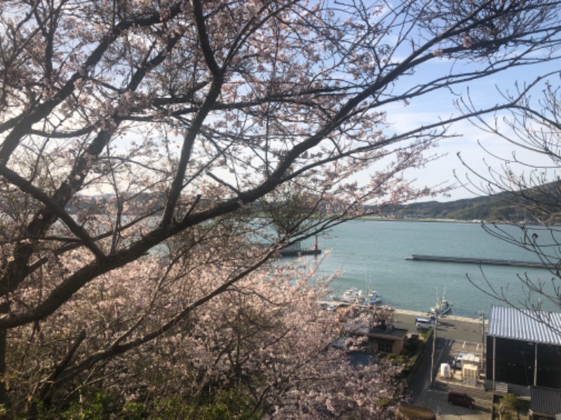 ワニ子さんの伊都の湯どころのサ活写真