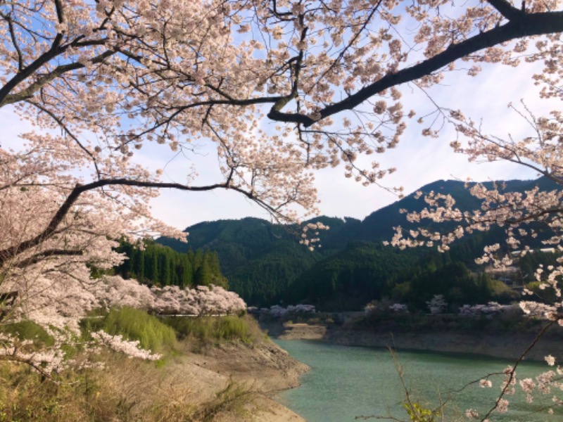 ワニ子さんの黒木温泉 くつろぎの湯 (くつろぎの森 グリーンピア八女)のサ活写真