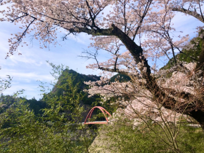 ワニ子さんの黒木温泉 くつろぎの湯 (くつろぎの森 グリーンピア八女)のサ活写真