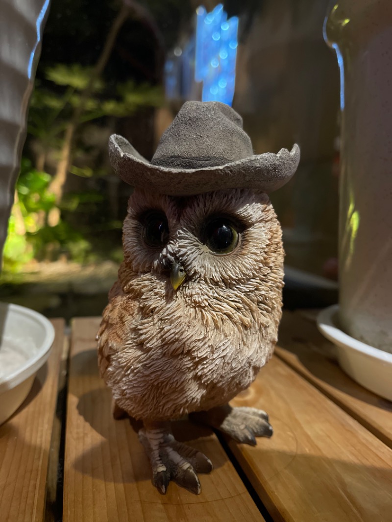 Tくんさんの湯の華銭湯 瑞祥 松本館のサ活写真