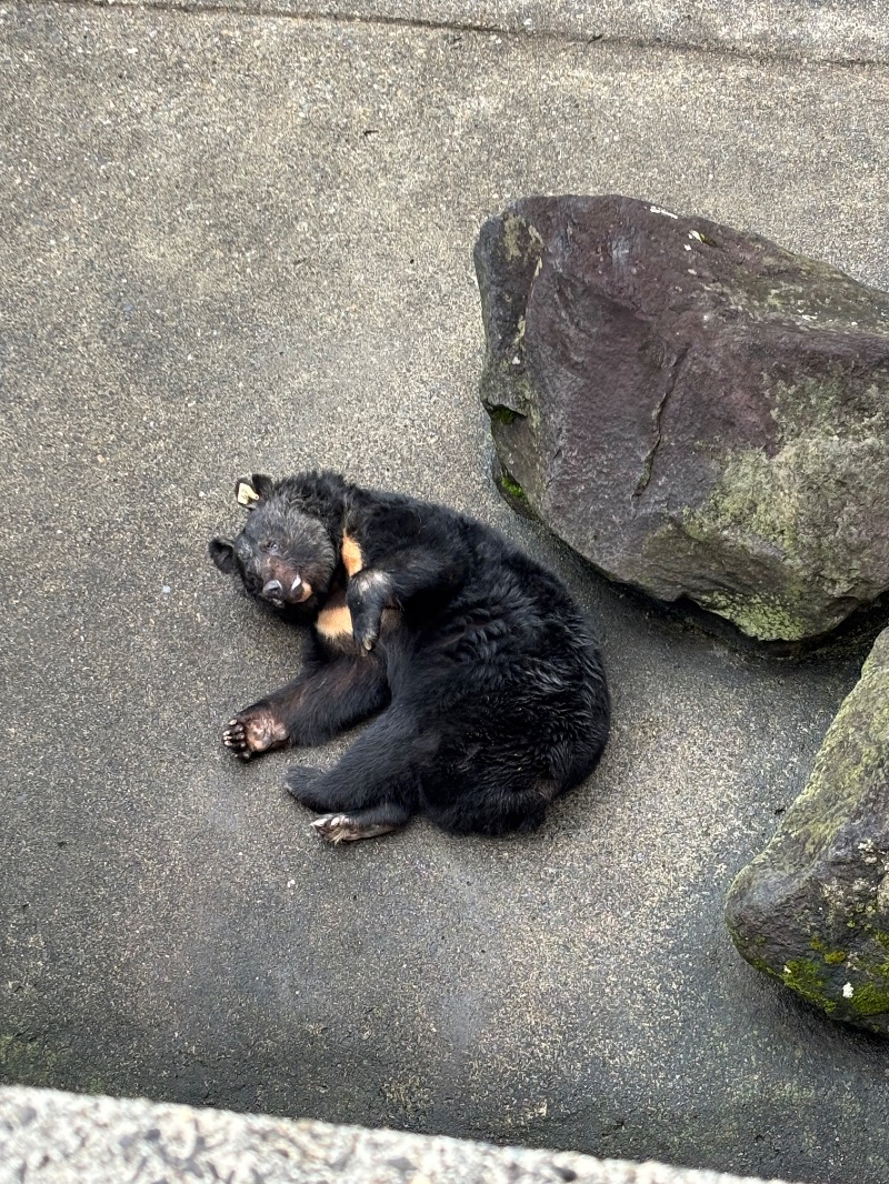 ちゃい君さんの打当温泉マタギの湯のサ活写真