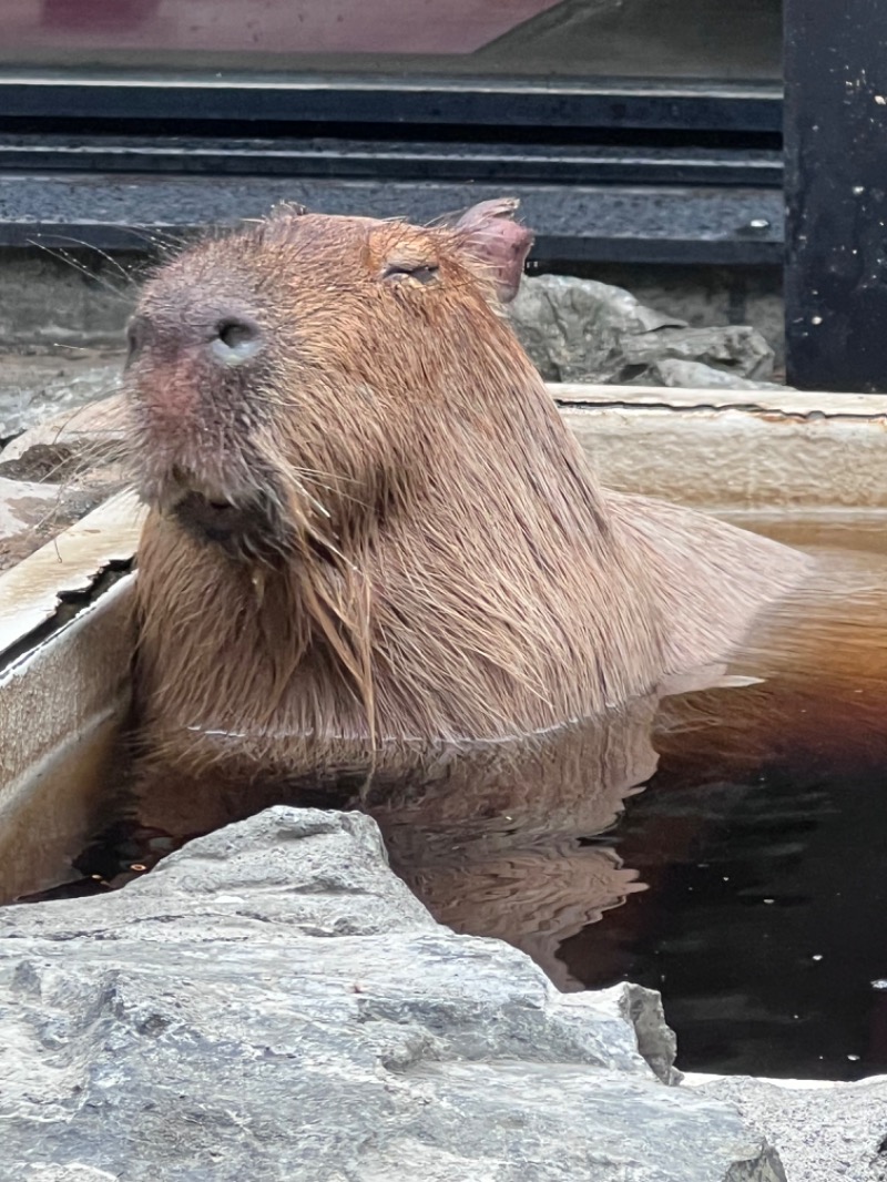 kazzcapy216さんの石狩天然温泉 番屋の湯のサ活写真