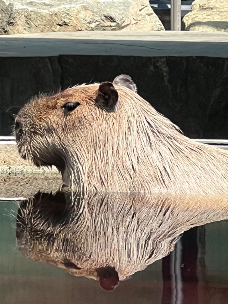 kazzcapy216さんの石狩天然温泉 番屋の湯のサ活写真