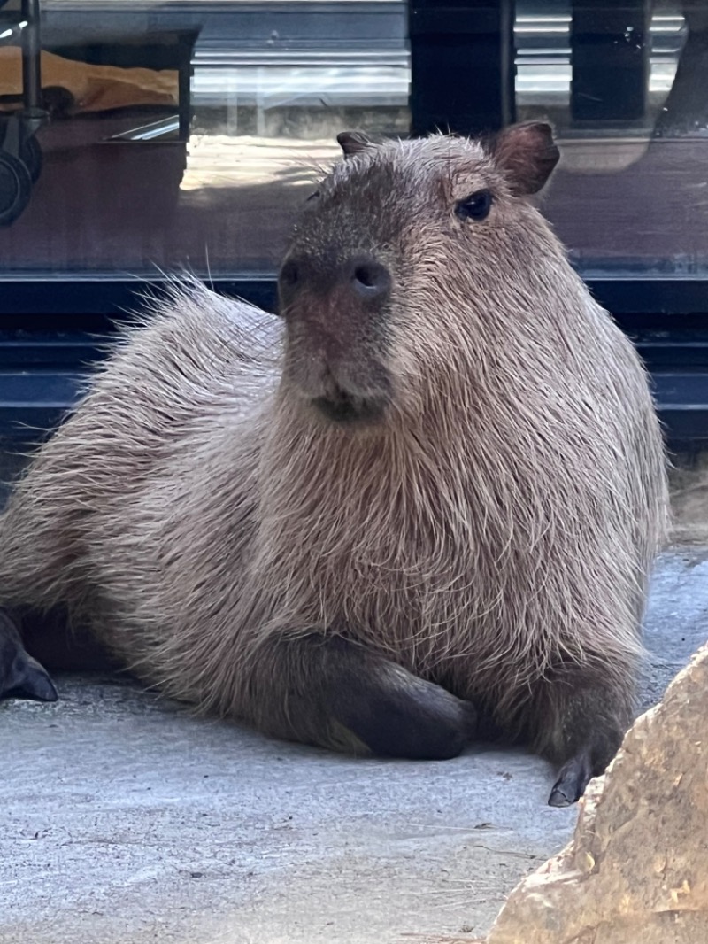 kazzcapy216さんの石狩天然温泉 番屋の湯のサ活写真