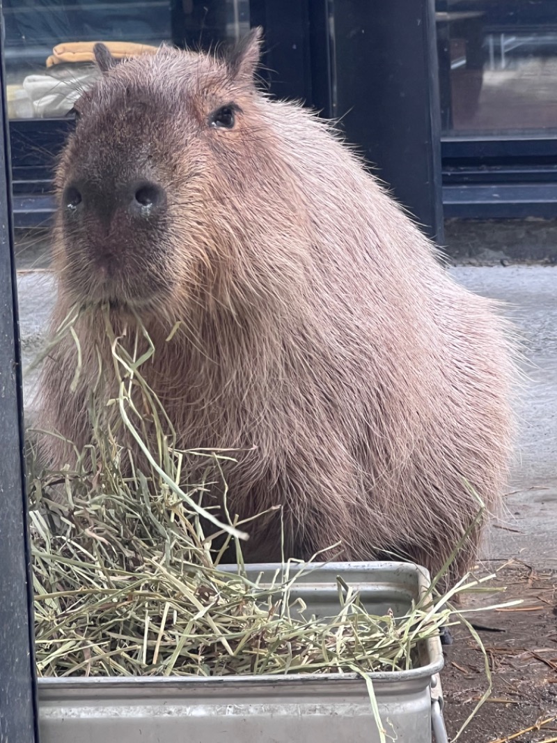 kazzcapy216さんの石狩天然温泉 番屋の湯のサ活写真