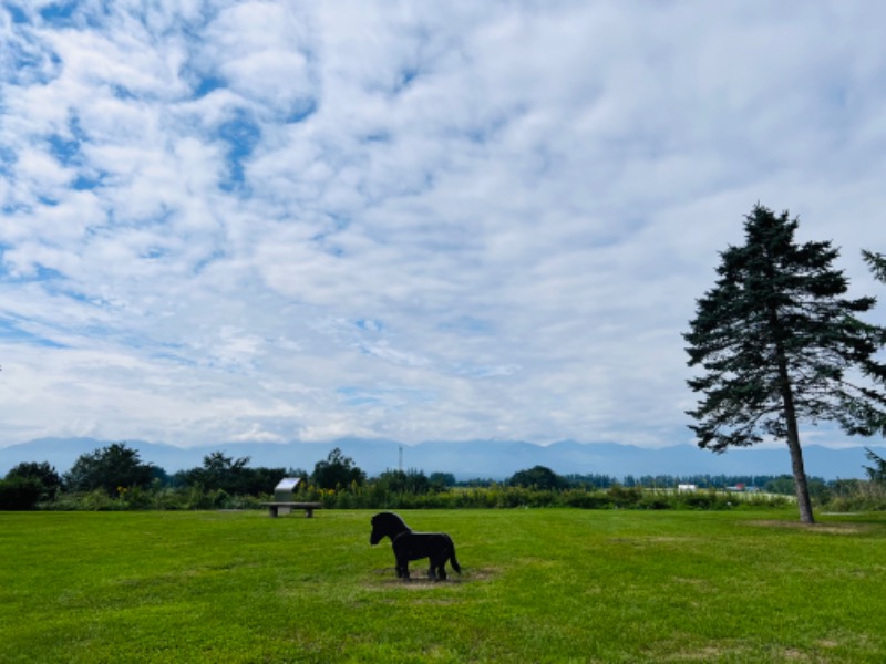 kazzcapy216さんの十勝ナウマン温泉ホテルアルコのサ活写真