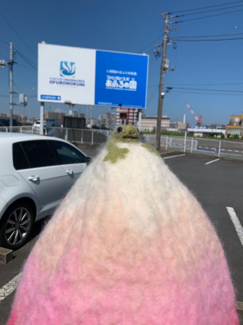ロビンさんのファンタジーサウナ&スパおふろの国のサ活写真