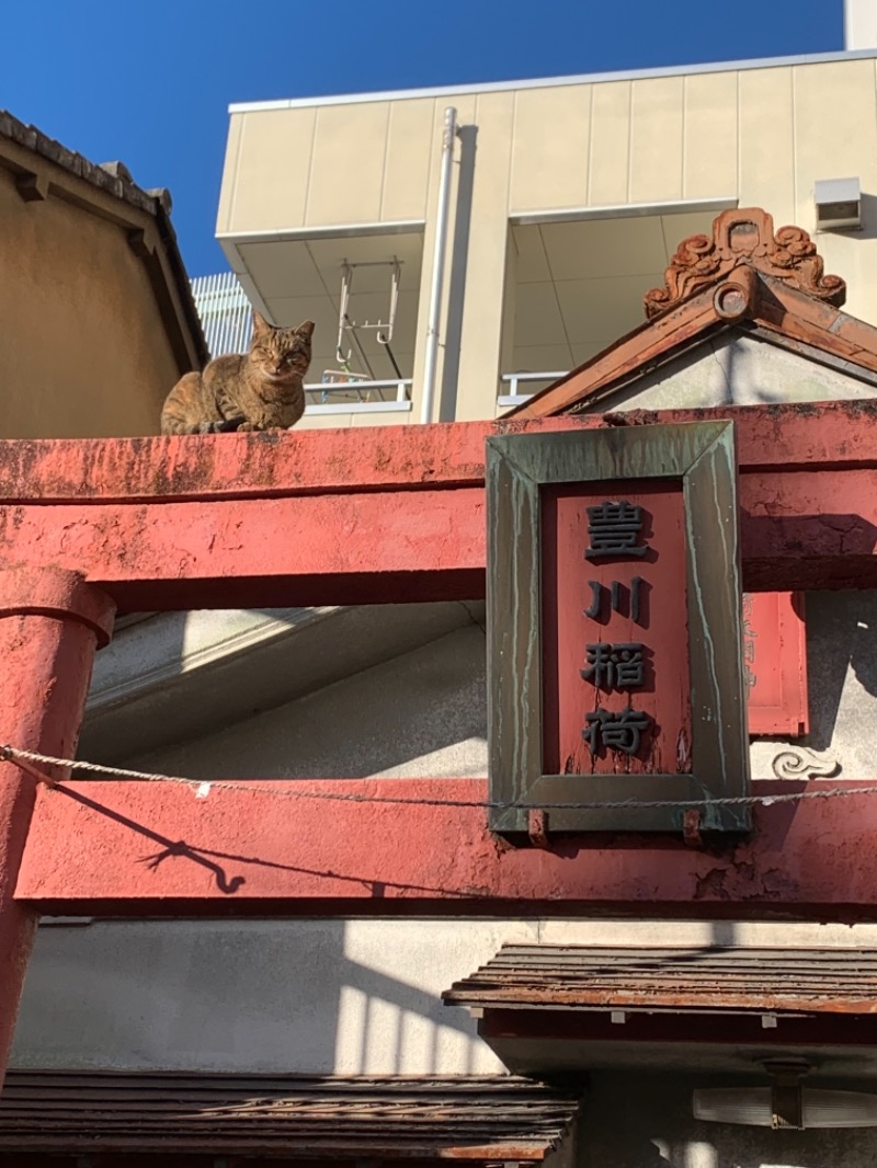 ロビンさんの山宮温泉のサ活写真