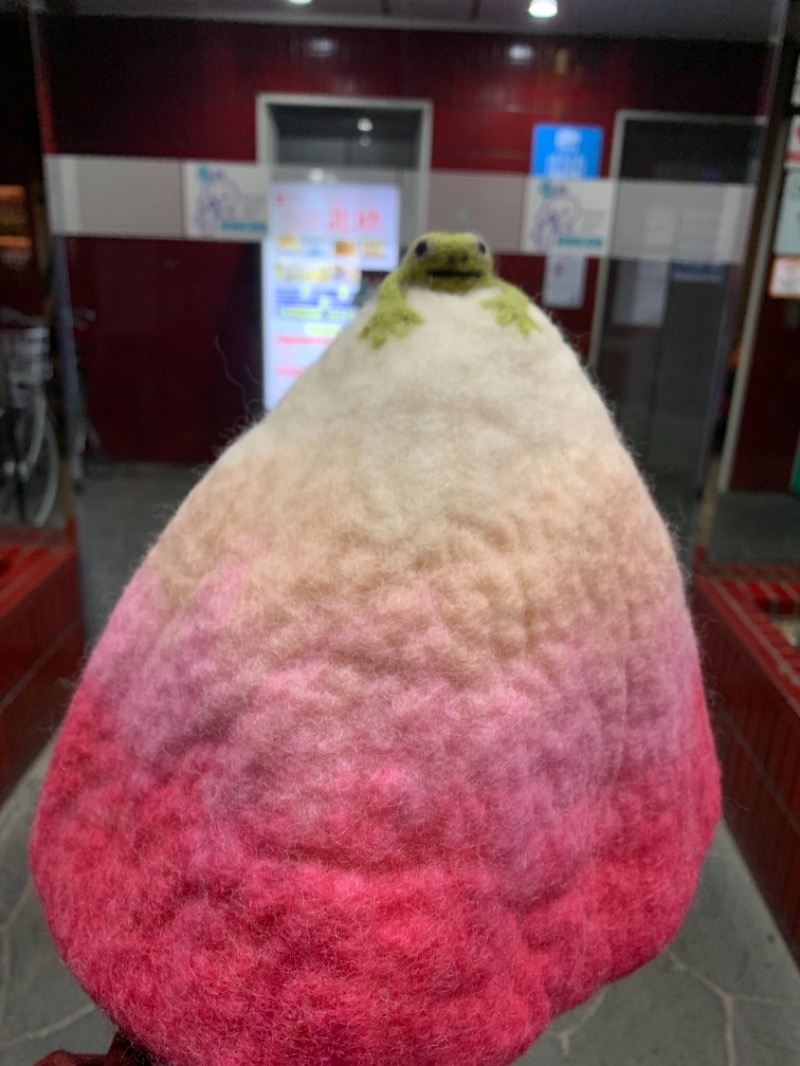 ロビンさんのサウナ&カプセルホテル 北欧のサ活写真