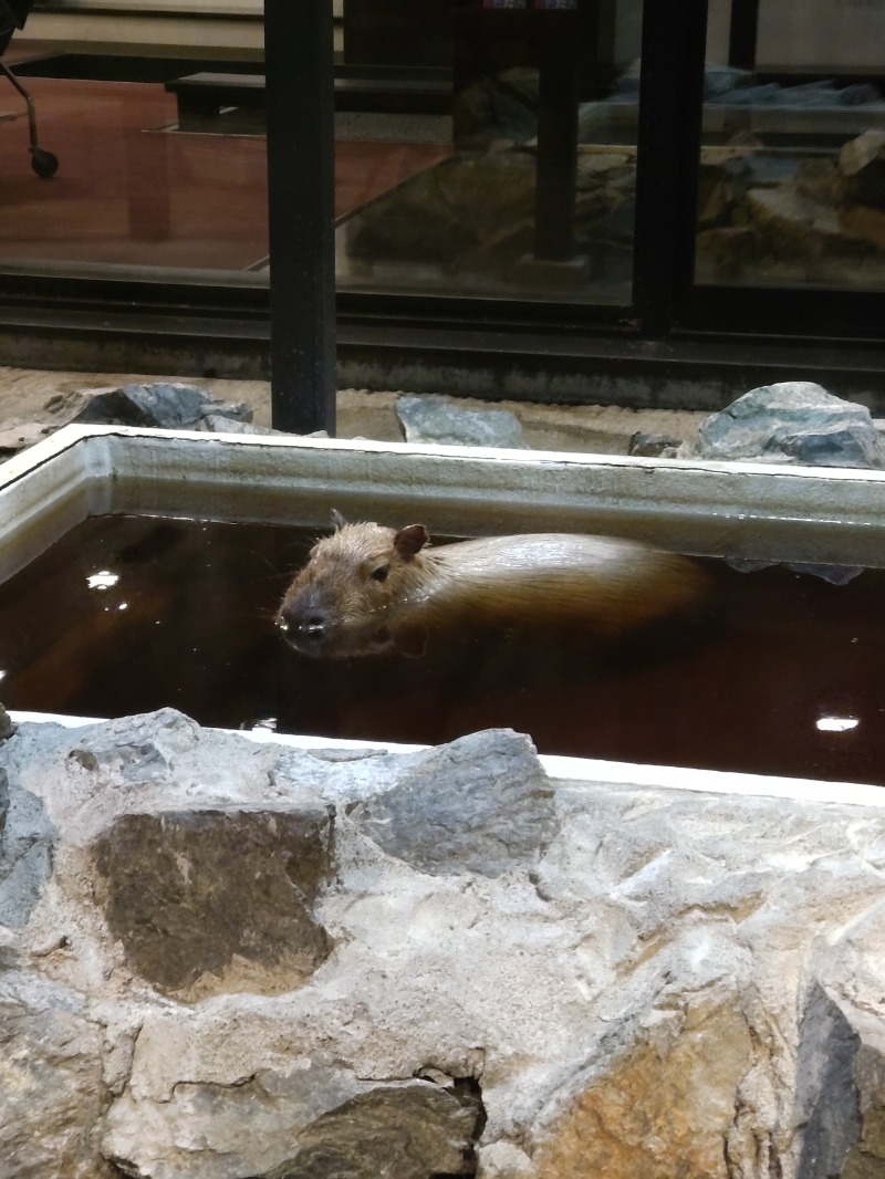 白樺ヴィヒ太郎さんの石狩天然温泉 番屋の湯のサ活写真