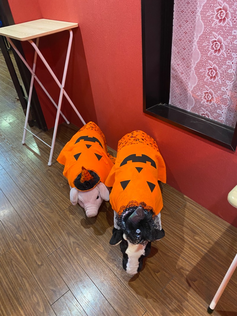 スチームゴリラさんの信州健康ランドのサ活写真