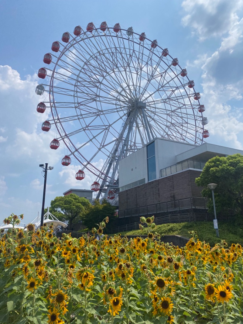 スチームゴリラさんの天然温泉 かきつばたのサ活写真