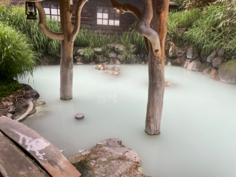 Hiroさんの中通温泉こまちの湯 ドーミーイン秋田のサ活写真